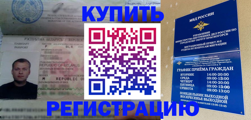 прописка законно в Борзе